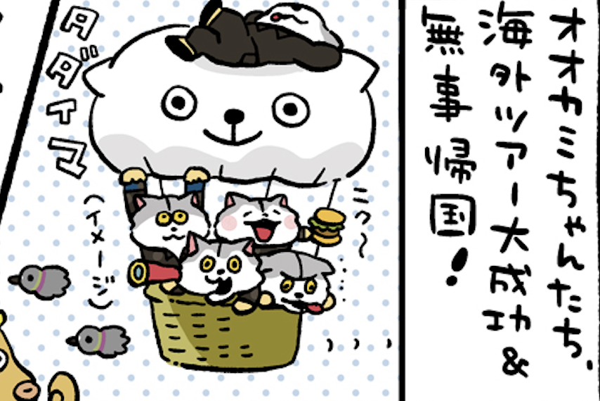 ŹOOĻ コマフィルム　ササゲロ　4コマとも変化あり ŹOOĻ コマフィルム ササゲロ 4コマとも変化あり Amazon.co.jp